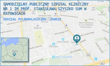 ODDZIAŁ PULMONOLOGICZNY - SAMODZIELNY PUBLICZNY SZPITAL KLINICZNY NR 1 IM PROF. STANISŁAWA SZYSZKO SUM W KATOWICACH - UL. 3 MAJA 13-15,  ZABRZE